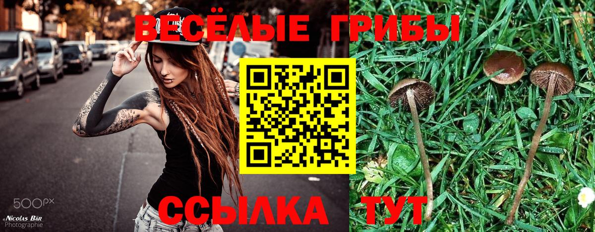 Новый Уренгой  Галлюциногенные грибы MAGIC MUSHROOMS  Вход с VPN 