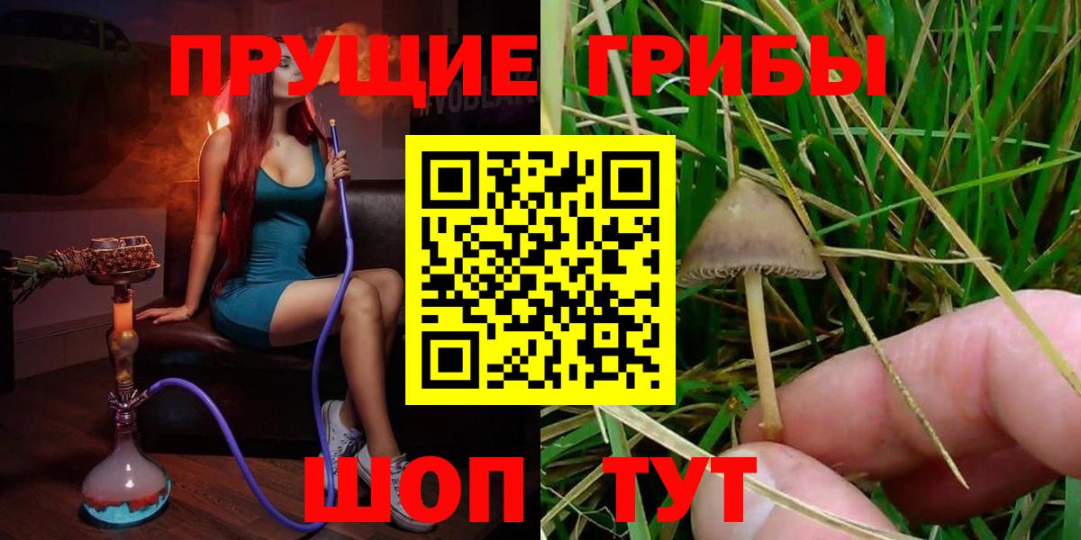 Галлюциногенные грибы Psilocybe Новый Уренгой